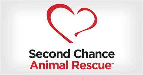 Second chance animal rescue amarillo tx - This group is in support of SCAR. SCAR is a 501(c)(3) nonprofit rescue that provides temporary placement and adoption services for all breeds. We are foster based and 100% volunteer run. We would...